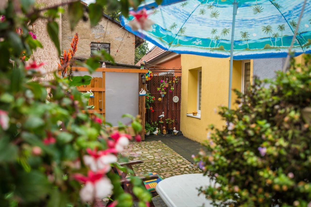 Apartament Cch Chełmno 외부 사진